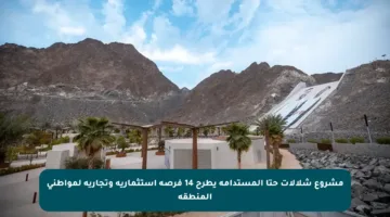 مشروع شلالات حتا المستدامة يطرح 14 فرصة استثمارية وتجارية لمواطني المنطقة